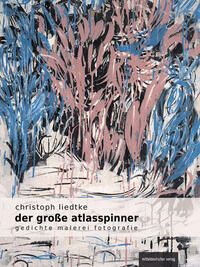 Vorderes Coverbild Der große Atlasspinner