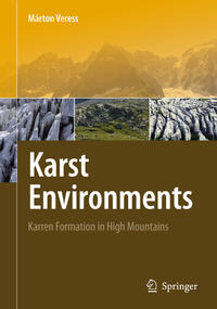 Vorderes Coverbild Karst Environments