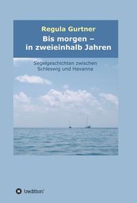Vorderes Coverbild Bis morgen - in zweieinhalb Jahren