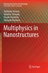 Vorderes Coverbild Multiphysics in Nanostructures