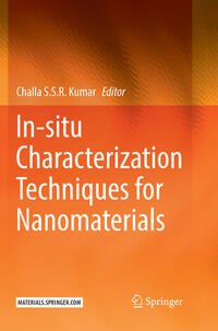 Vorderes Coverbild In-situ Characterization Techniques for Nanomaterials