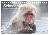 Vorderes Coverbild Schneeaffen im Jigokudani Nationalpark (Tischkalender 2026 DIN A5 quer), CALVENDO Monatskalender