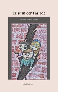 Vorderes Coverbild Risse in der Fassade