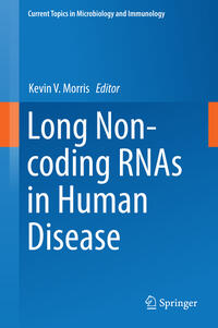 Vorderes Coverbild Long Non-coding RNAs in Human Disease