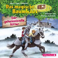 Vorderes Coverbild Der geheimnisvolle Ritter (Das magische Baumhaus 2)