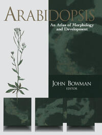 Vorderes Coverbild Arabidopsis