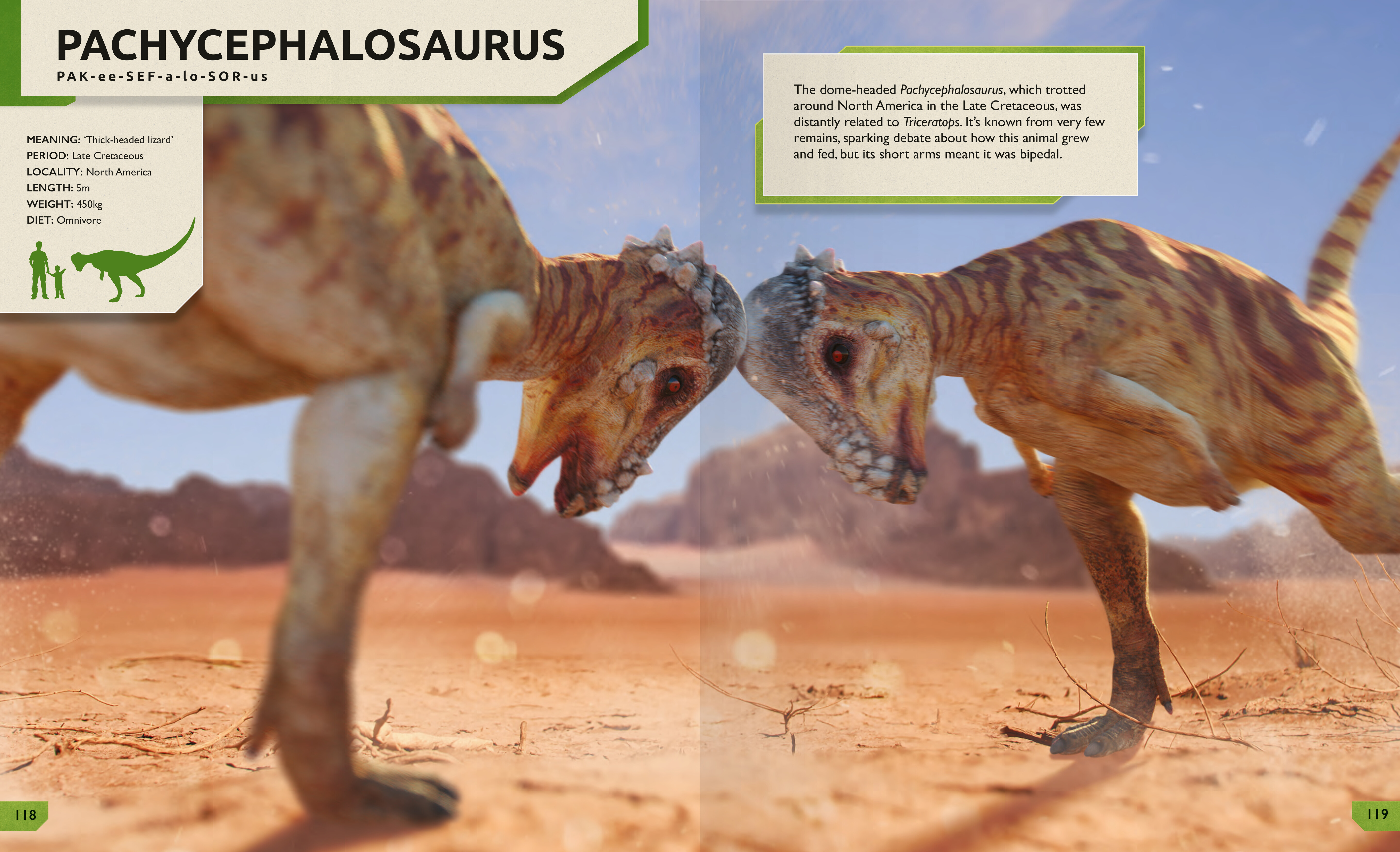 Beispielinhalt (Bild) Das ultimative Dinosaurierlexikon