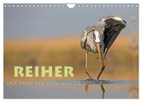 Vorderes Coverbild Reiher - Der Tanz auf dem Wasser (Wandkalender 2025 DIN A4 quer), CALVENDO Monatskalender
