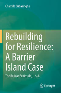 Vorderes Coverbild Rebuilding for Resilience: A Barrier Island Case