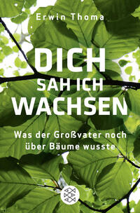 Vorderes Coverbild Dich sah ich wachsen
