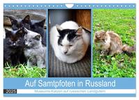 Vorderes Coverbild Auf Samtpfoten in Russland - Museums-Katzen auf russischen Landgütern (Wandkalender 2025 DIN A4 quer), CALVENDO Monatskalender