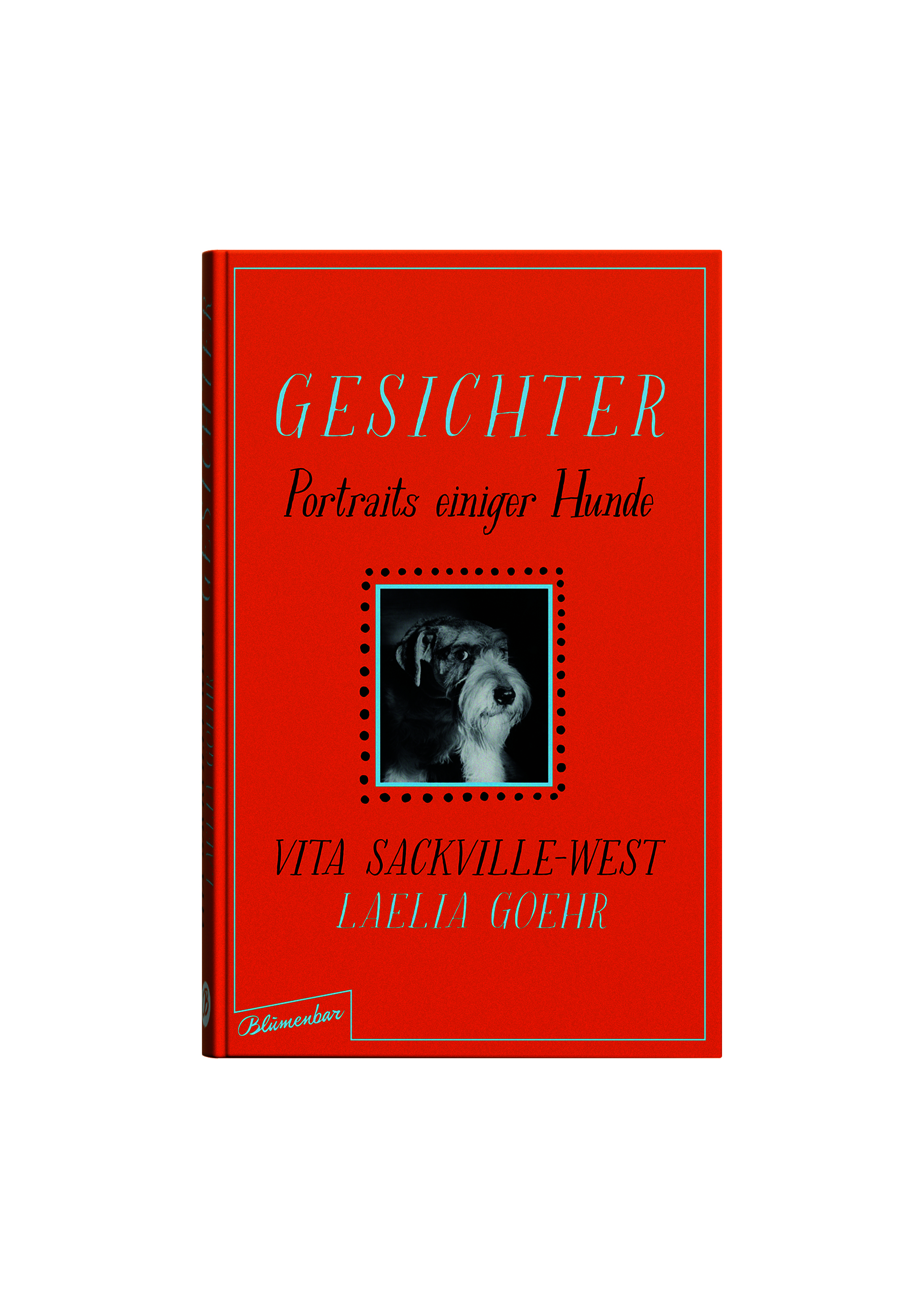 Anderes Coverbild Gesichter
