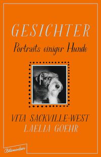 Vorderes Coverbild Gesichter