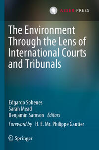 Vorderes Coverbild The Environment Through the Lens of International Courts and Tribunals
