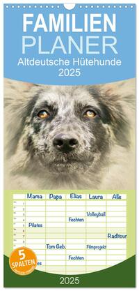 Vorderes Coverbild Familienplaner 2025 - Altdeutsche Hütehunde 2025 mit 5 Spalten (Wandkalender, 21 x 45 cm) CALVENDO