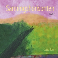 Vorderes Coverbild Sanningshorisonten