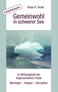Vorderes Coverbild Gemeinwohl in schwerer See - Kompaktausgabe