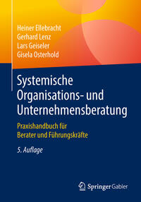 Vorderes Coverbild Systemische Organisations- und Unternehmensberatung