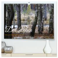 Vorderes Coverbild Der Loben. Im Reich der Moorgeister und Kreuzottern- Südbrandenburgs letztes großes Moor (hochwertiger Premium Wandkalender 2025 DIN A2 quer), Kunstdruck in Hochglanz