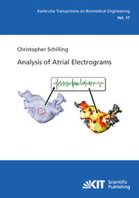 Vorderes Coverbild Analysis of Atrial Electrograms