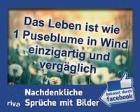 Vorderes Coverbild Das Leben ist wie 1 Puseblume in Wind einzigartig und vergäglich