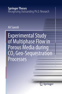 Vorderes Coverbild Experimental Study of Multiphase Flow in Porous Media during CO2 Geo-Sequestration Processes
