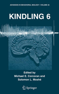 Vorderes Coverbild Kindling 6