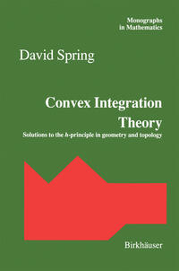Vorderes Coverbild Convex Integration Theory