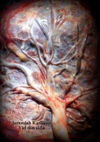 Vorderes Coverbild Vid din sida