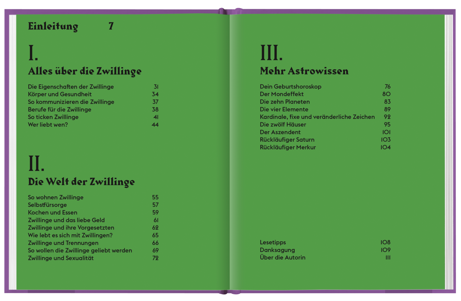 Beispielinhalt (Bild) Zwillinge