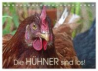 Vorderes Coverbild Die Hühner sind los! (Tischkalender 2026 DIN A5 quer), CALVENDO Monatskalender