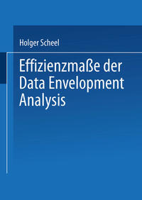 Vorderes Coverbild Effizienzmaße der Data Envelopment Analysis