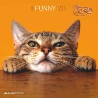 Vorderes Coverbild Alpha Edition - Funny Cats 2025 Broschürenkalender, 30x30cm, Wandkalender mit Platz für Notizen und Termine, lustige Katzen-Motive, Monatsübersicht und Ferientermine DE/AT/CH