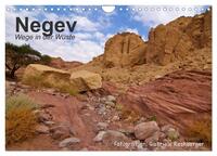 Vorderes Coverbild NEGEV Wege in der Wüste (Wandkalender 2025 DIN A4 quer), CALVENDO Monatskalender