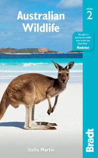Vorderes Coverbild Australian Wildlife