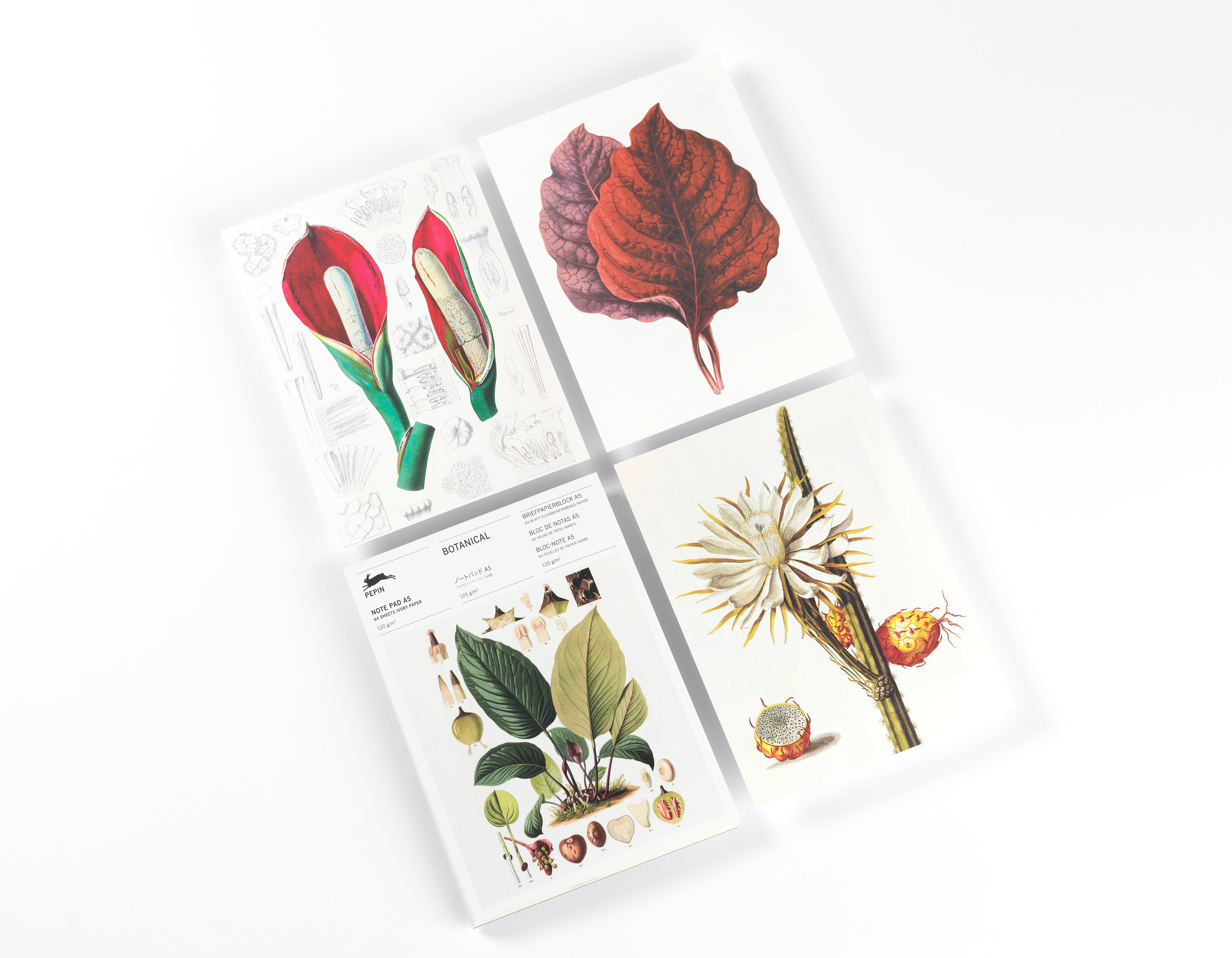 Beispielinhalt (Bild) Botanical (new edition)