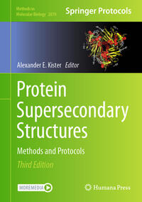 Vorderes Coverbild Protein Supersecondary Structures