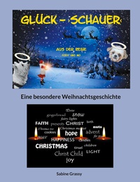 Vorderes Coverbild Glück-Schauer