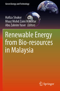 Vorderes Coverbild Renewable Energy from Bio-resources in Malaysia