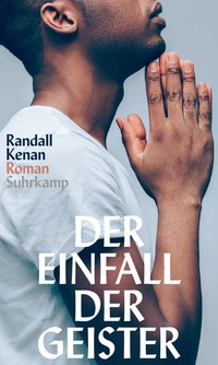 Vorderes Coverbild Der Einfall der Geister