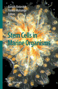Vorderes Coverbild Stem Cells in Marine Organisms
