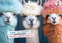 Vorderes Coverbild Time to party - Happy birthday!!