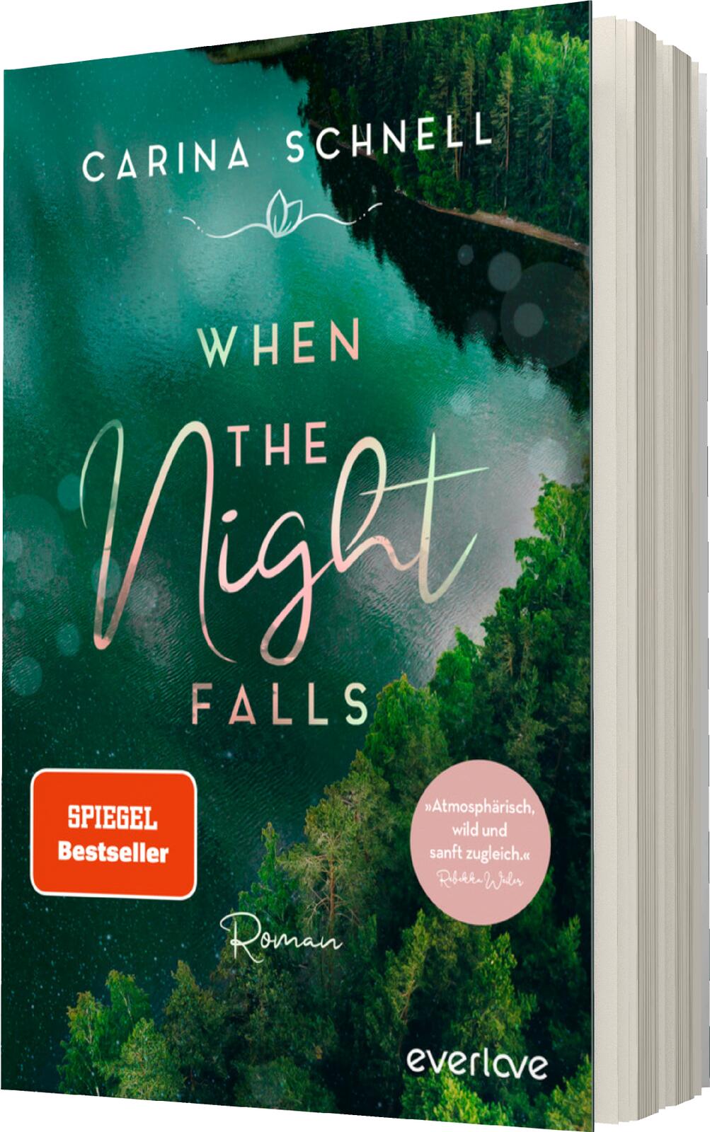 Anderes Coverbild When the Night Falls