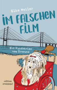 Vorderes Coverbild Im falschen Film