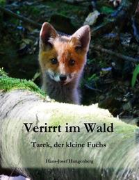 Vorderes Coverbild Verirrt im Wald