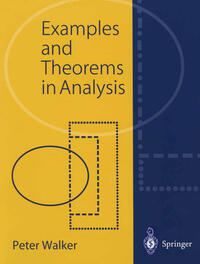 Vorderes Coverbild Examples and Theorems in Analysis