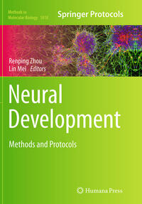 Vorderes Coverbild Neural Development