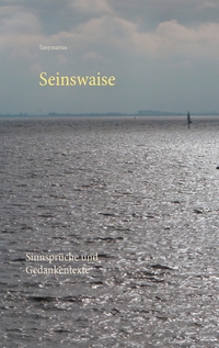 Vorderes Coverbild Seinswaise
