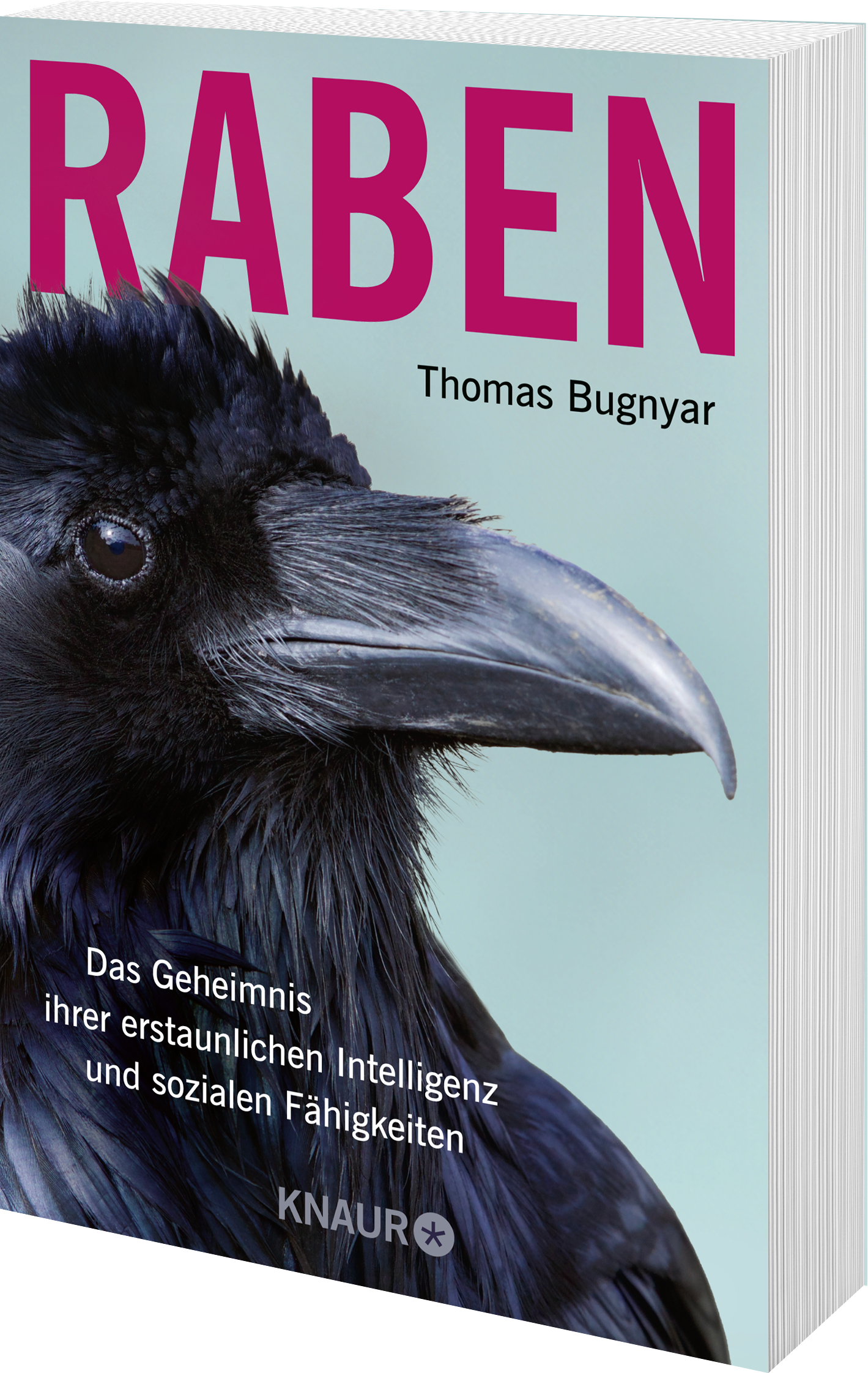 Anderes Coverbild Raben