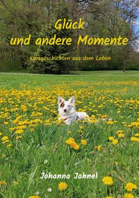 Vorderes Coverbild Glück und andere Momente